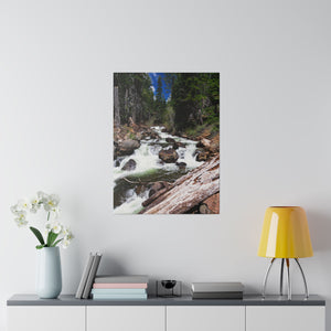 Rush of Life Canvas Print