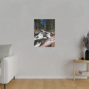 Rush of Life Canvas Print