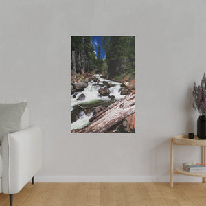 Rush of Life Canvas Print