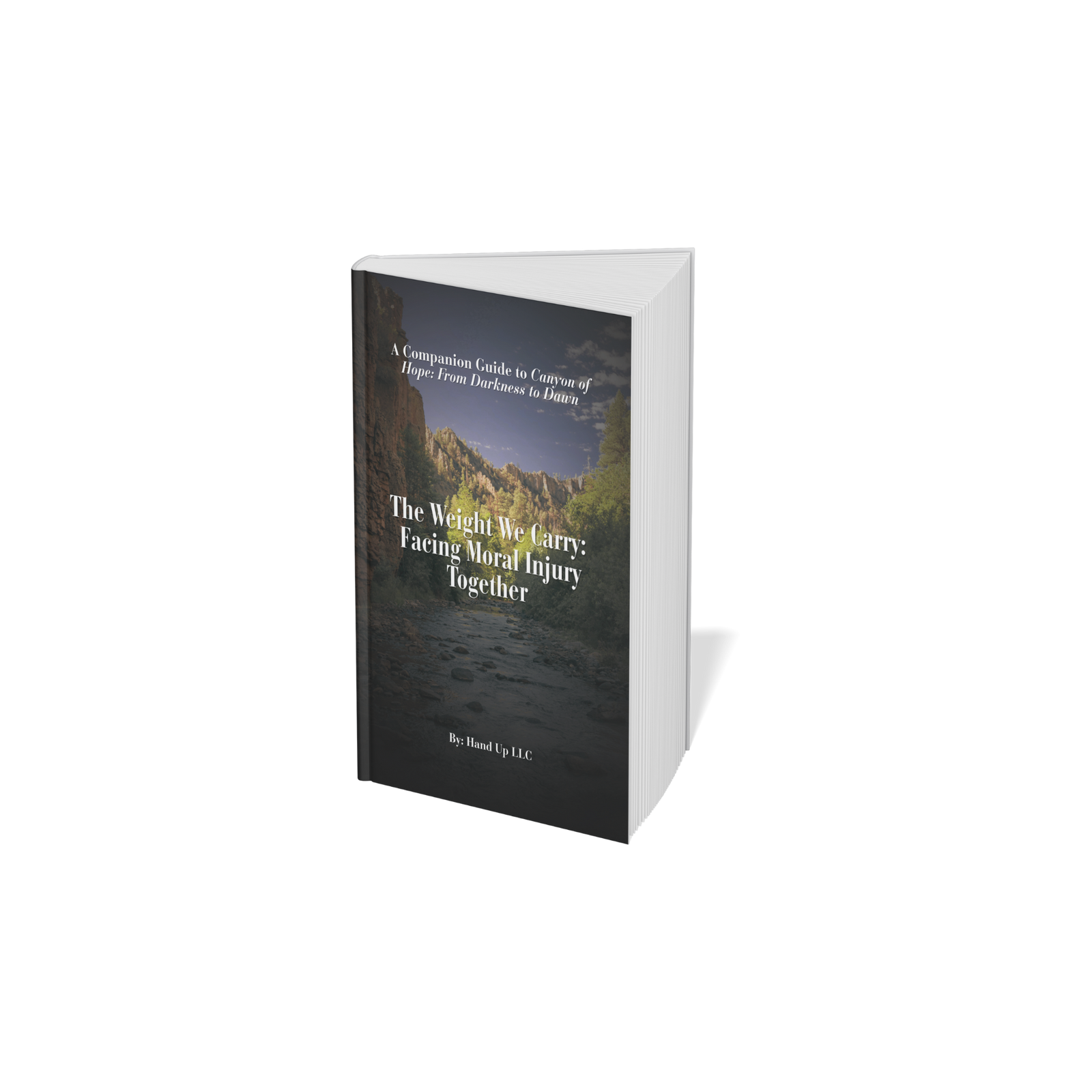 The Weight We Carry: Facing Moral Injury Together; A Guide to Understanding Moral Injury